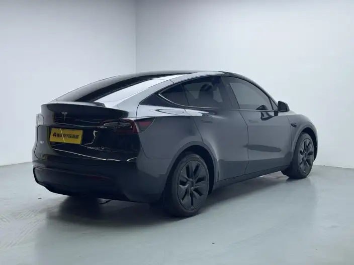 Model Y 2024 Model Rear-wheel drive version – фото 7