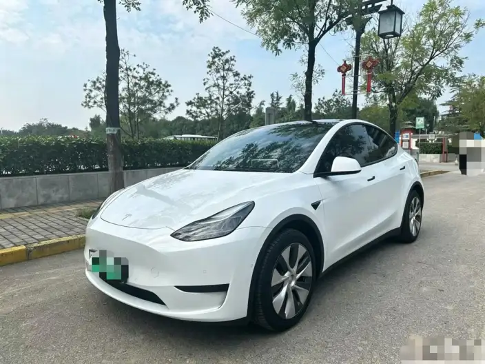 Model Y 2022 Model Rear-wheel drive version – фото 1