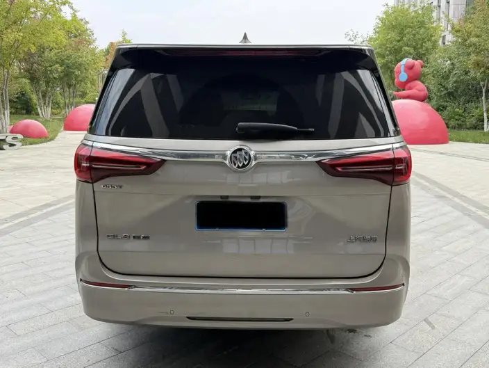 Buick GL8 2022 Model ES Luzun 653T Flagship Model – фото 4