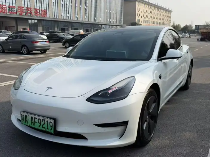 Model 3 2022 Model Rear-wheel drive version – фото 1