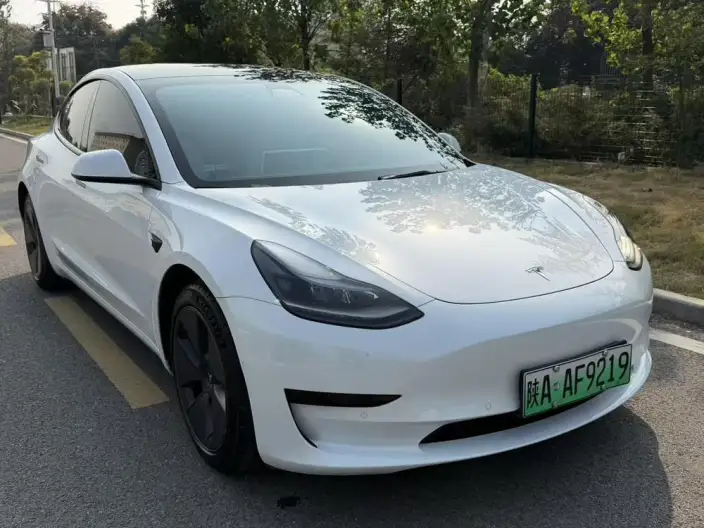 Model 3 2022 Model Rear-wheel drive version – фото 3