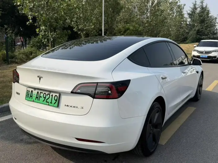 Model 3 2022 Model Rear-wheel drive version – фото 6