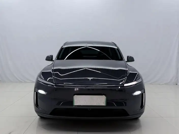 Model Y 2025 Model Rear-wheel drive version – фото 2