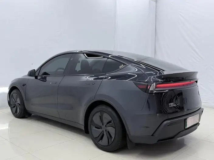 Model Y 2025 Model Rear-wheel drive version – фото 3