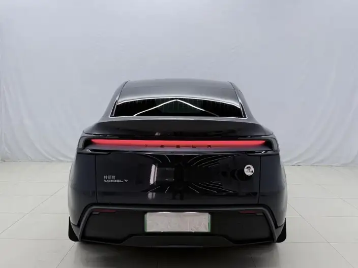 Model Y 2025 Model Rear-wheel drive version – фото 4