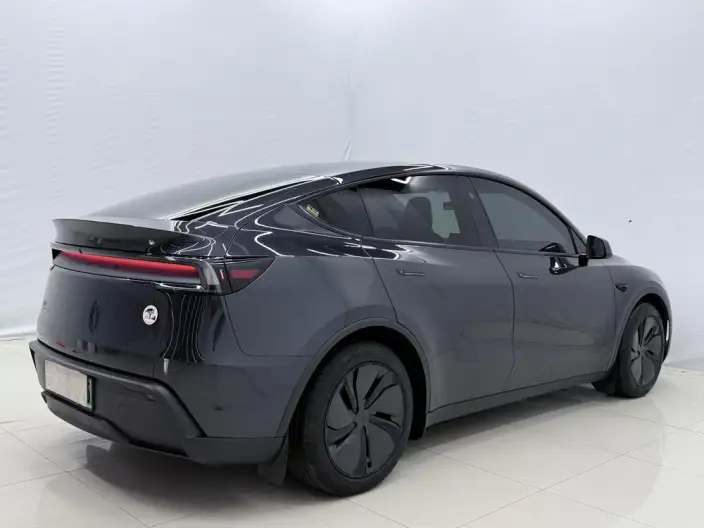 Model Y 2025 Model Rear-wheel drive version – фото 5