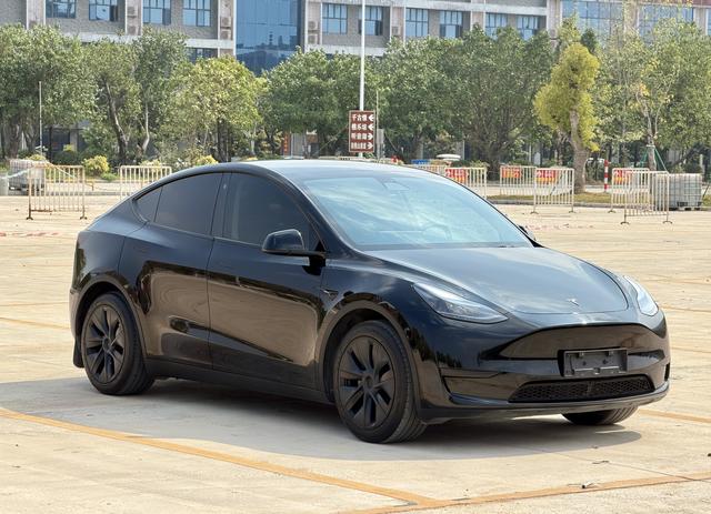 Tesla Model Y 2023 RWD – фото 3