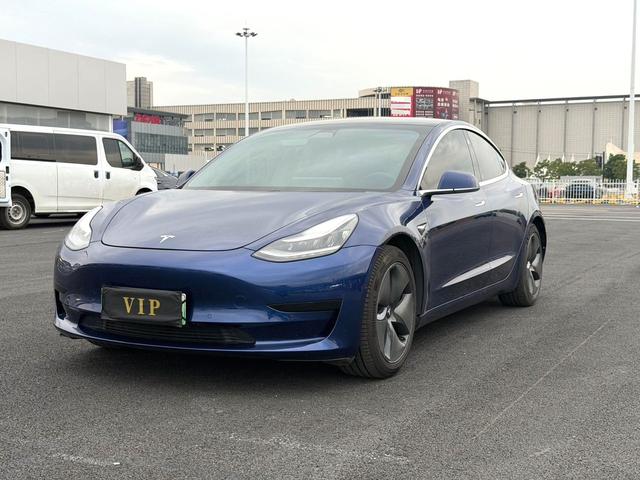 Tesla Model 3 2019 Standard Range RWD Upgrade – фото 1