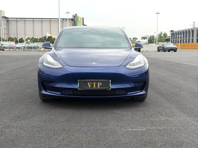 Tesla Model 3 2019 Standard Range RWD Upgrade – фото 2