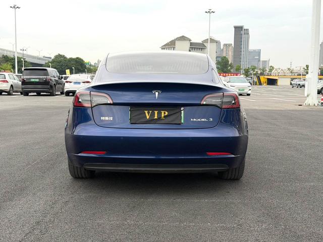 Tesla Model 3 2019 Standard Range RWD Upgrade – фото 3