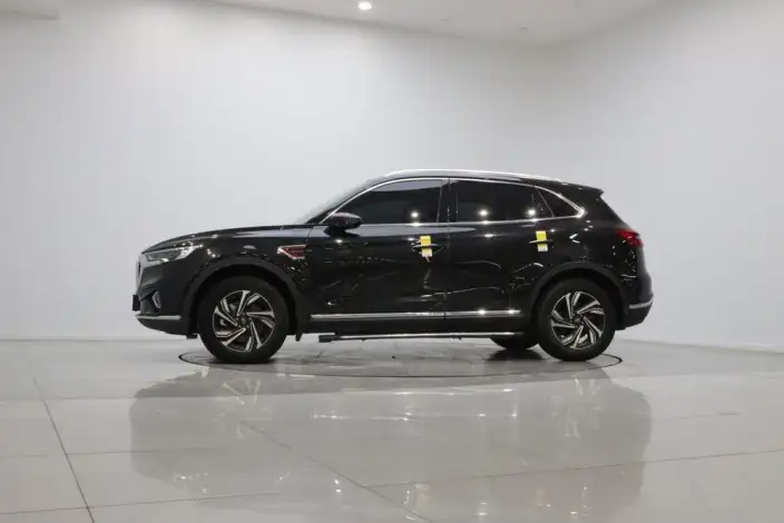 Hongqi HS5 2022 Model Facelift 2.0T Smart Flag Enjoy Edition – фото 4