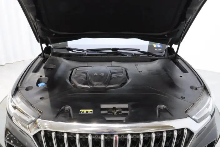 Hongqi HS5 2022 Model Facelift 2.0T Smart Flag Enjoy Edition – фото 10