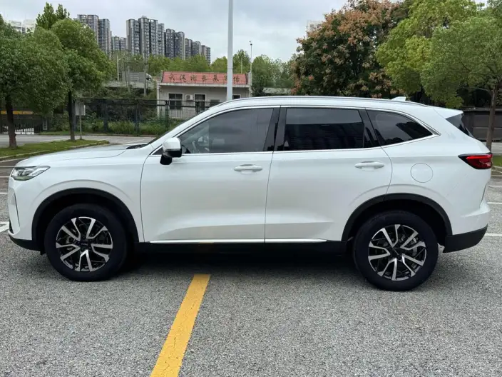 Haval H6 2021 Model Third generation 2.0T Automatic 2WD Max Edition – фото 4
