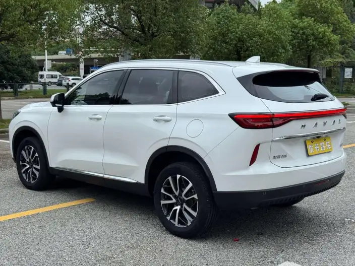 Haval H6 2021 Model Third generation 2.0T Automatic 2WD Max Edition – фото 5