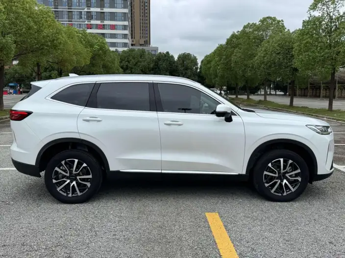 Haval H6 2021 Model Third generation 2.0T Automatic 2WD Max Edition – фото 8