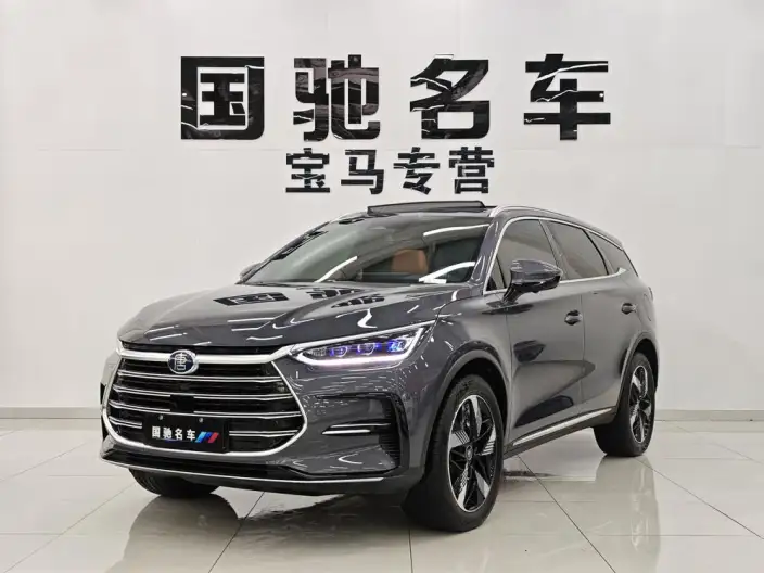 BYD Tang DM 2023 Model DM-i Champion Edition 112KM Zunrong Model – фото 10