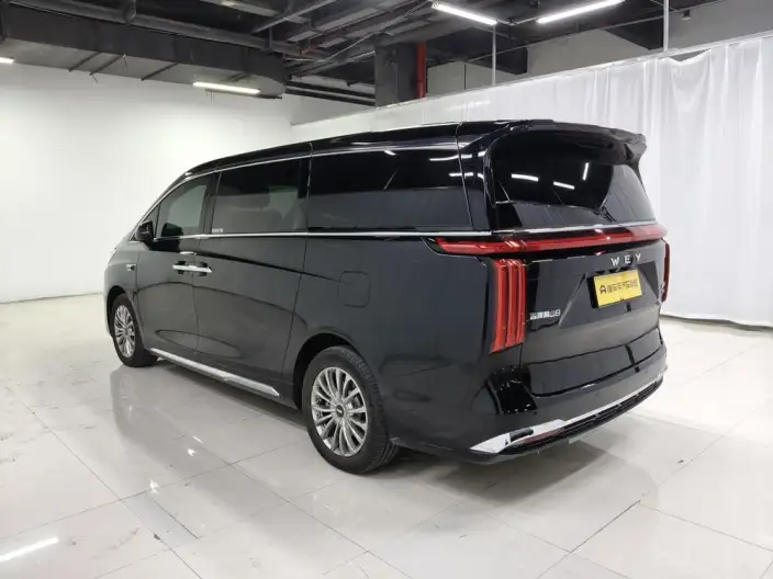 Wey Gaoshan P HEV 2025 Model 4WD Wey Gaoshan 8 – фото 5