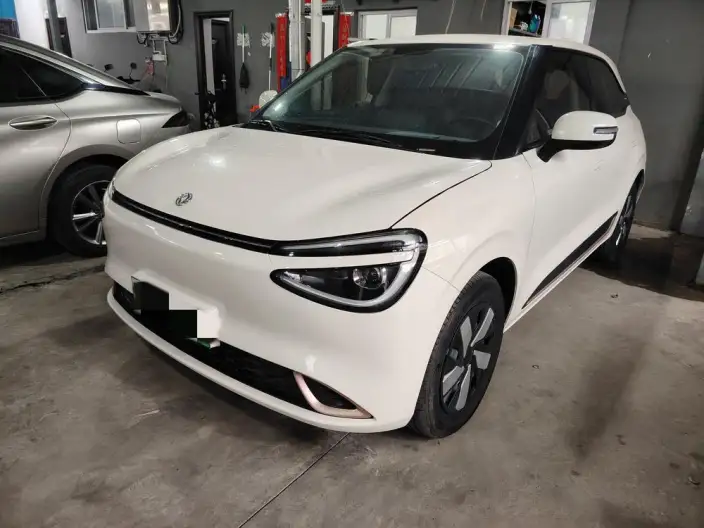Dongfeng Nano 01 2024 Model 330Plus – фото 1