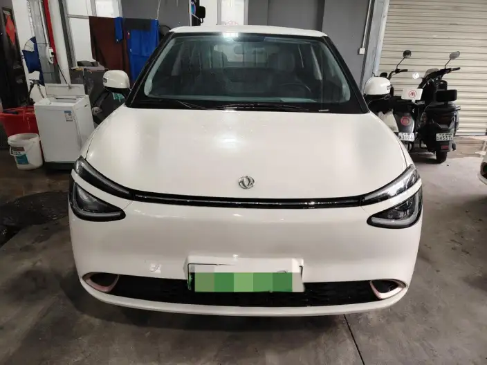Dongfeng Nano 01 2024 Model 330Plus – фото 2
