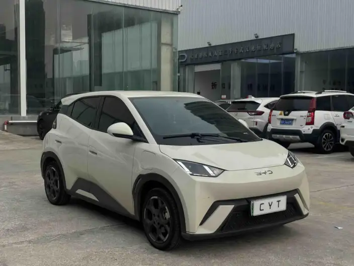 BYD Seagull 2023 Model Feixiang Edition – фото 3