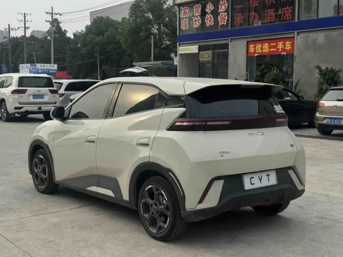 BYD Seagull 2023 Model Feixiang Edition – фото 4