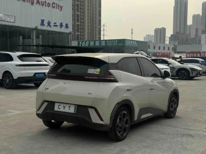 BYD Seagull 2023 Model Feixiang Edition – фото 6