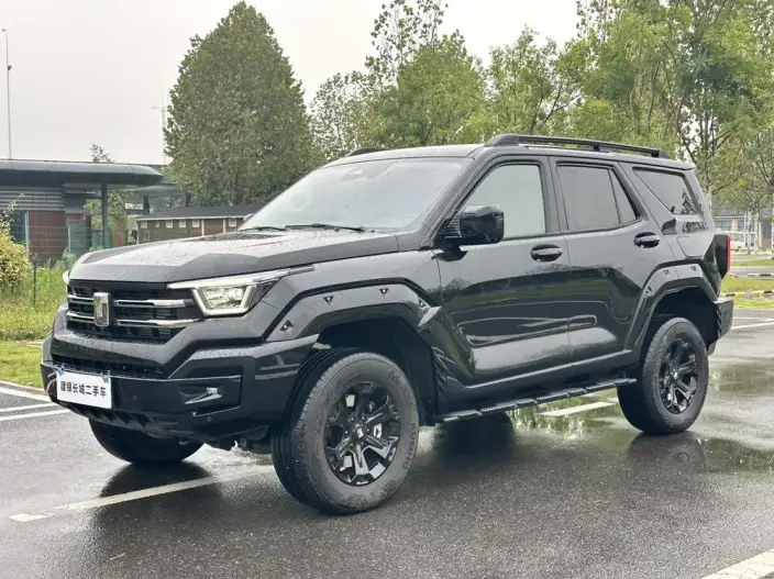 Tank 400 2025 Model 2.0T Gasoline Edition – фото 1
