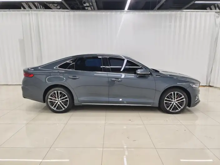 Geely StarRui 2023 Model 2.0T Noble Model – фото 8