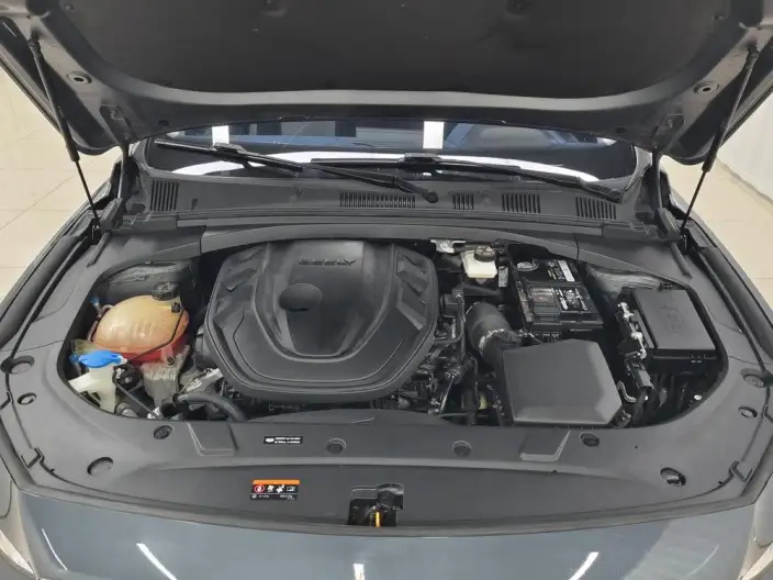 Geely StarRui 2023 Model 2.0T Noble Model – фото 10