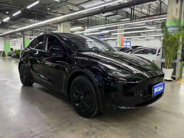 Model Y 2022 Model Facelift Rear-wheel drive version – фото 3