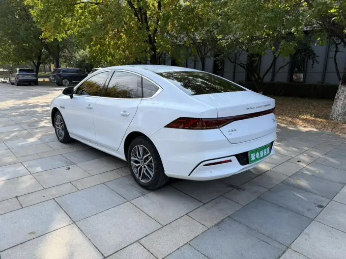 Qin Plus EV 2024 Model Honor Edition 420KM Leading Model – фото 4