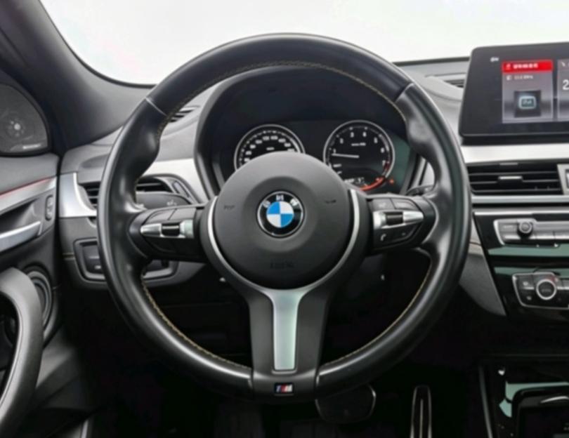 BMW X2 Раздел 2023 sDrive25i Bright Edition – фото 11