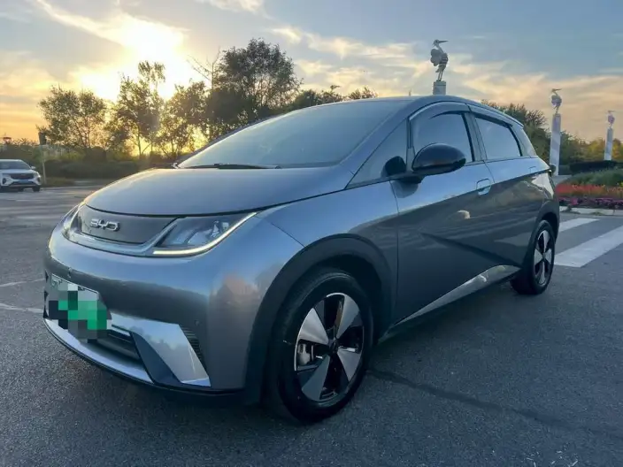 BYD Dolphin 2024 Model Honor Edition 420km Free Edition – фото 1