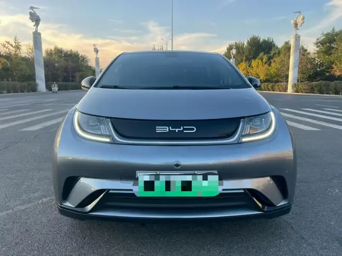 BYD Dolphin 2024 Model Honor Edition 420km Free Edition – фото 2