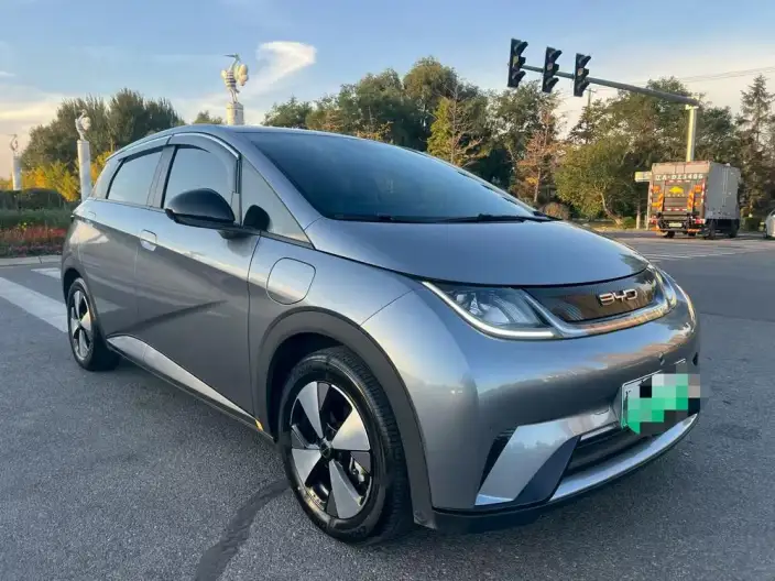 BYD Dolphin 2024 Model Honor Edition 420km Free Edition – фото 3