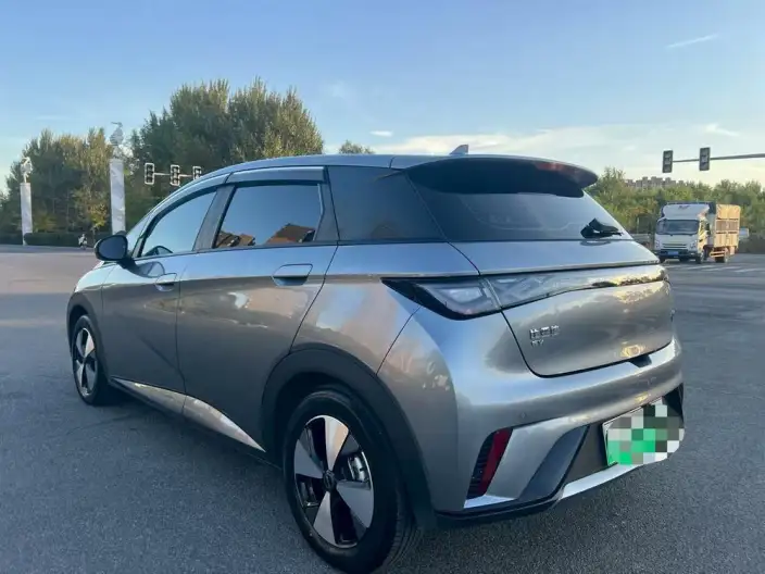 BYD Dolphin 2024 Model Honor Edition 420km Free Edition – фото 4