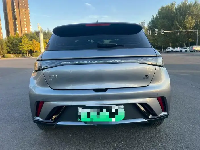 BYD Dolphin 2024 Model Honor Edition 420km Free Edition – фото 5