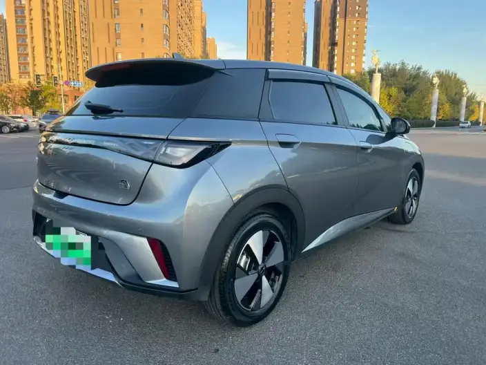 BYD Dolphin 2024 Model Honor Edition 420km Free Edition – фото 6