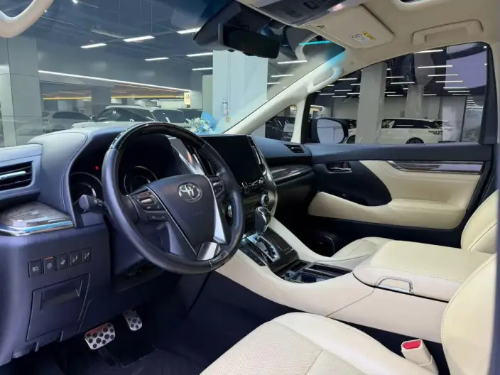 Elfa 2018 Model 3.5L Premium Edition – фото 8
