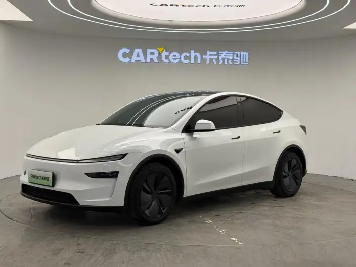 Model Y 2025 Model Long Battery Life Pro All-wheel drive version – фото 1