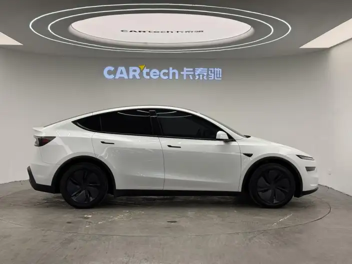 Model Y 2025 Model Long Battery Life Pro All-wheel drive version – фото 8