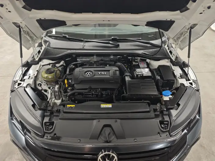 Volkswagen CC 2021 Model Hunting vehicle 380TSI Hunting Heart Edition – фото 10