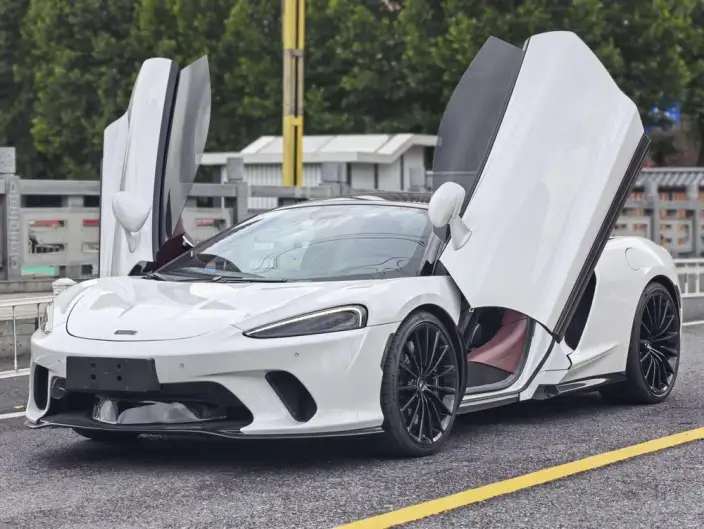 McLaren GT 2019 Model 4.0T Standard Model – фото 1