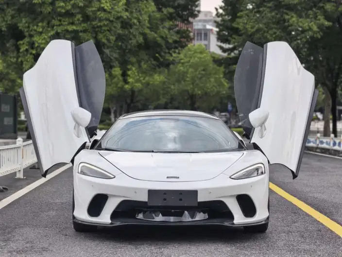 McLaren GT 2019 Model 4.0T Standard Model – фото 2