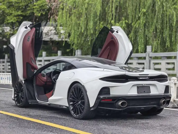 McLaren GT 2019 Model 4.0T Standard Model – фото 4