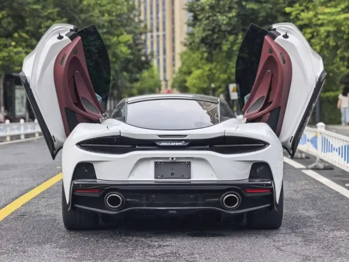 McLaren GT 2019 Model 4.0T Standard Model – фото 5