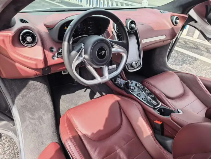 McLaren GT 2019 Model 4.0T Standard Model – фото 6