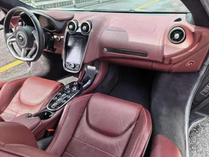 McLaren GT 2019 Model 4.0T Standard Model – фото 7
