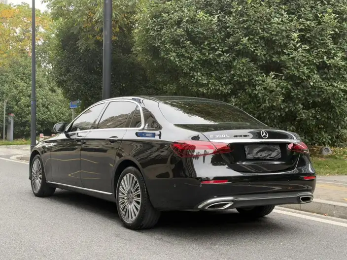 Mercedes-Benz E-Class 2023 Model E 300 L Luxury Model sedan – фото 4