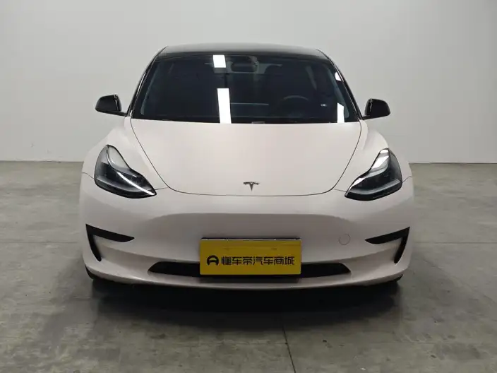Model 3 2022 Model Rear-wheel drive version – фото 2